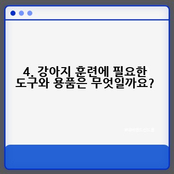 4. 강아지 훈련에 필요한 도구와 용품은 무엇일까요?