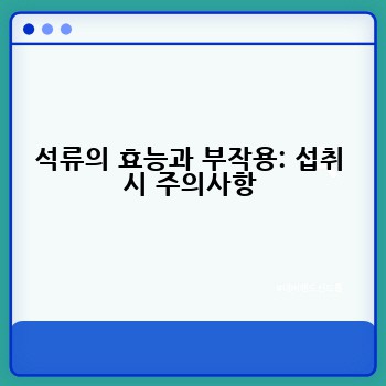 석류의 효능과 부작용: 섭취 시 주의사항