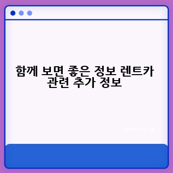 함께 보면 좋은 정보 렌트카 관련 추가 정보