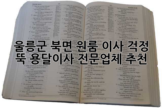 울릉군 북면 원룸 이사? 걱정 뚝! 용달이사 전문업체 추천