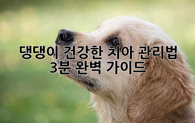 댕댕이 건강한 치아 관리법 : 3분 완벽 가이드!