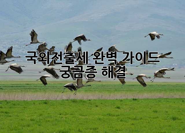 국외전출세 완벽 가이드: 궁금증 해결!