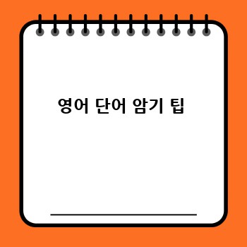 영어 단어 암기 팁