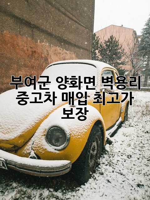 부여군 양화면 벽용리 중고차 매입, 최고가 보장!