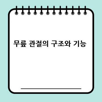 무릎 관절의 구조와 기능