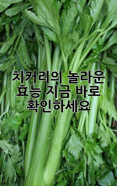 치커리의 놀라운 효능, 지금 바로 확인하세요!