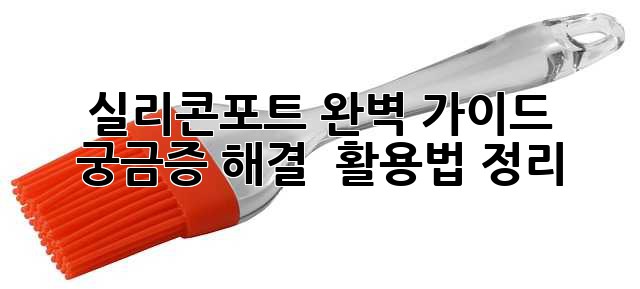 실리콘포트 완벽 가이드: 궁금증 해결 & 활용법 정리
