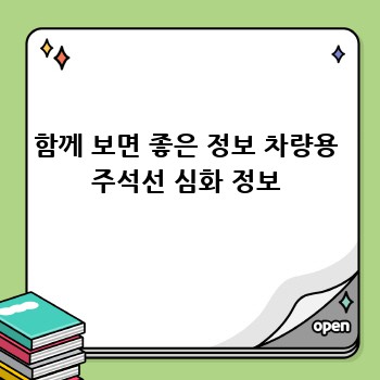 함께 보면 좋은 정보 차량용 주석선 심화 정보