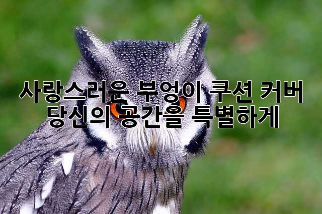 🦉 사랑스러운 부엉이 쿠션 커버, 당신의 공간을 특별하게!