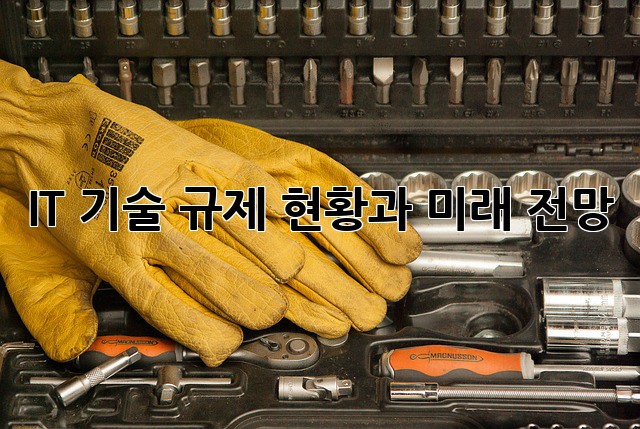 IT 기술 규제: 현황과 미래 전망