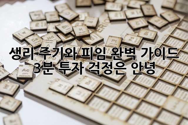 생리 주기와 피임 완벽 가이드: 3분 투자, 걱정은 안녕!