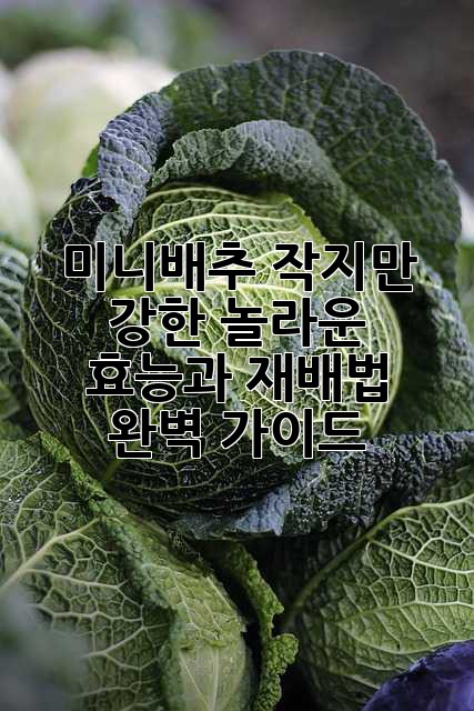 미니배추: 작지만 강한, 놀라운 효능과 재배법 완벽 가이드
