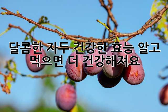 달콤한 자두, 건강한 효능! 알고 먹으면 더 건강해져요!