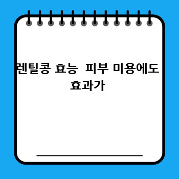 렌틸콩 효능  피부 미용에도 효과가