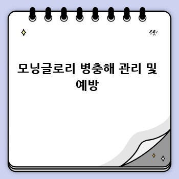 모닝글로리 병충해 관리 및 예방