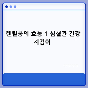 렌틸콩의 효능 1 심혈관 건강 지킴이 