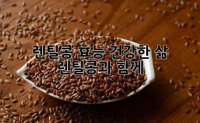 렌틸콩 효능: 건강한 삶, 렌틸콩과 함께!