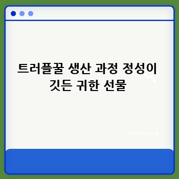 트러플꿀 생산 과정 정성이 깃든 귀한 선물