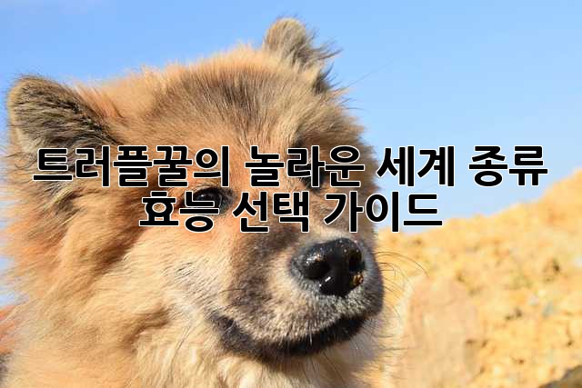 트러플꿀의 놀라운 세계: 종류, 효능, 선택 가이드