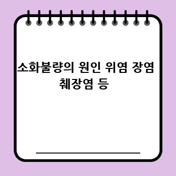 소화불량의 원인 위염 장염 췌장염 등 