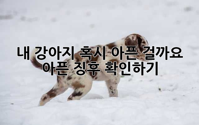 내 강아지, 혹시 아픈 걸까요? 😥 아픈 징후 확인하기