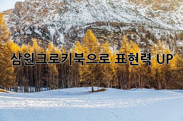 삼원크로키북으로 표현력 UP! ✨