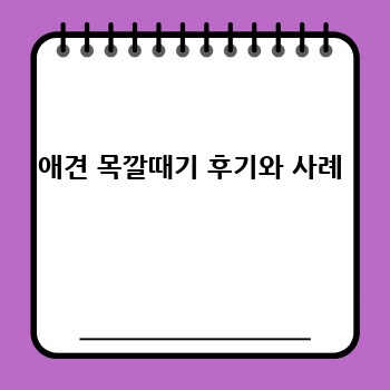 애견 목깔때기 후기와 사례