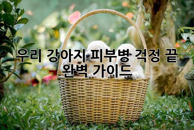 우리 강아지, 피부병 걱정 끝! 완벽 가이드