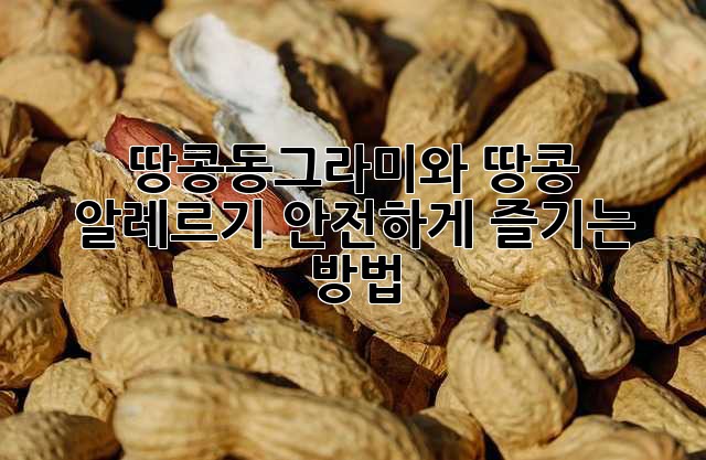 땅콩동그라미와 땅콩 알레르기: 안전하게 즐기는 방법