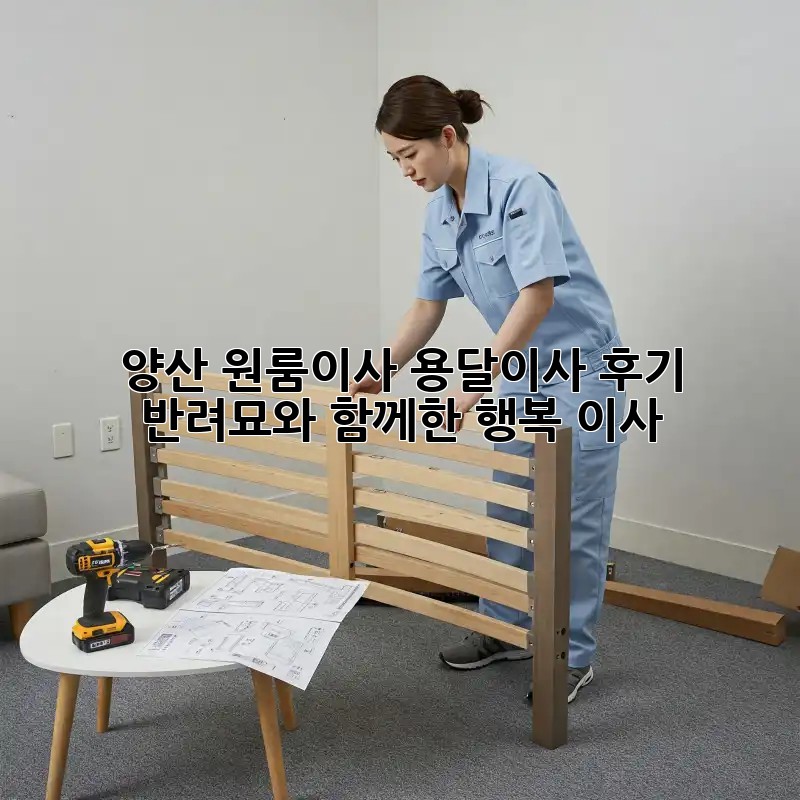 양산 원룸이사, 용달이사 후기: 반려묘와 함께한 행복 이사
