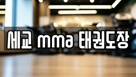 세교 mma 태권도장