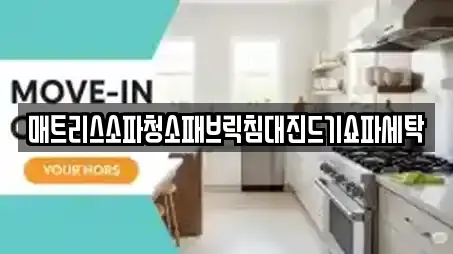 매트리스소파청소패브릭침대진드기쇼파세탁