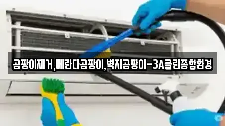 곰팡이제거,베란다곰팡이,벽지곰팡이-3A클린종합환경