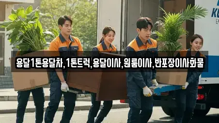 강원특별자치도 강릉시 저동 이사 TOP 6 위치검색
