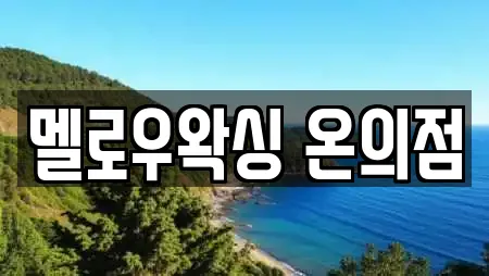 멜로우왁싱 온의점