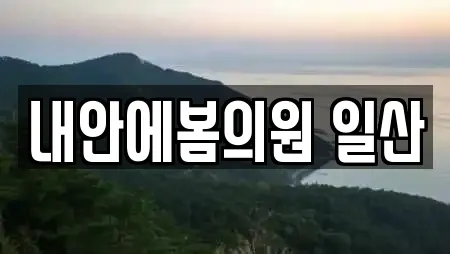 내안에봄의원 일산
