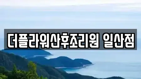 더플라워산후조리원 일산점