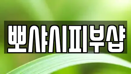 뽀샤시피부샵