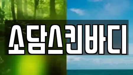 소담스킨바디