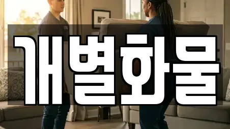 개별화물
