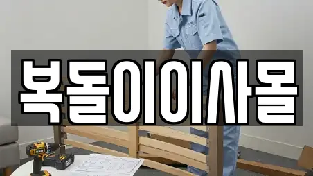복돌이이사몰