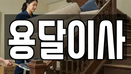 용달이사