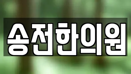 송전한의원