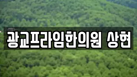 경기 용인시 수지구 상현동 추천 한의원,산부인과,피부과,에스테틱,산후조리원 위치 경기 용인시 수지구 상현동 추천 한의원,산부인과,피부과,에스테틱,산후조리원 위치