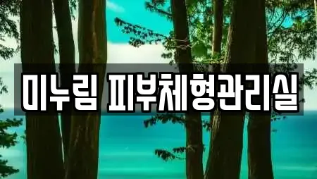 미누림 피부체형관리실
