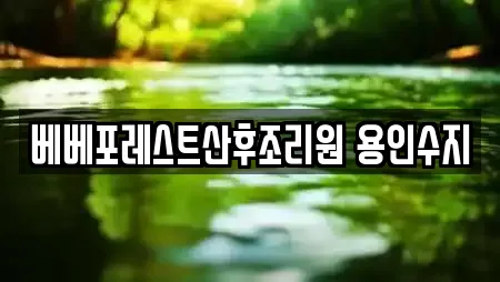 베베포레스트산후조리원 용인수지