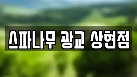 스파나무 광교 상현점