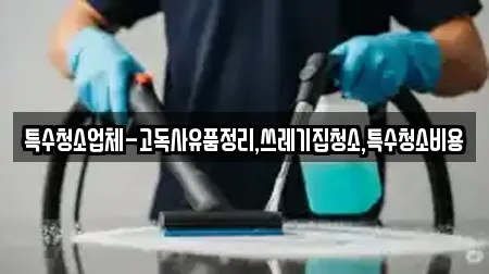 특수청소업체-고독사유품정리,쓰레기집청소,특수청소비용