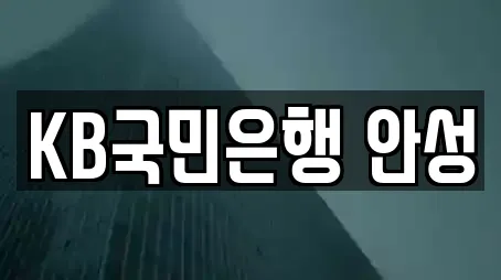 KB국민은행 안성