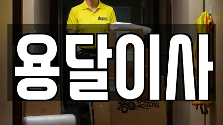 용달이사